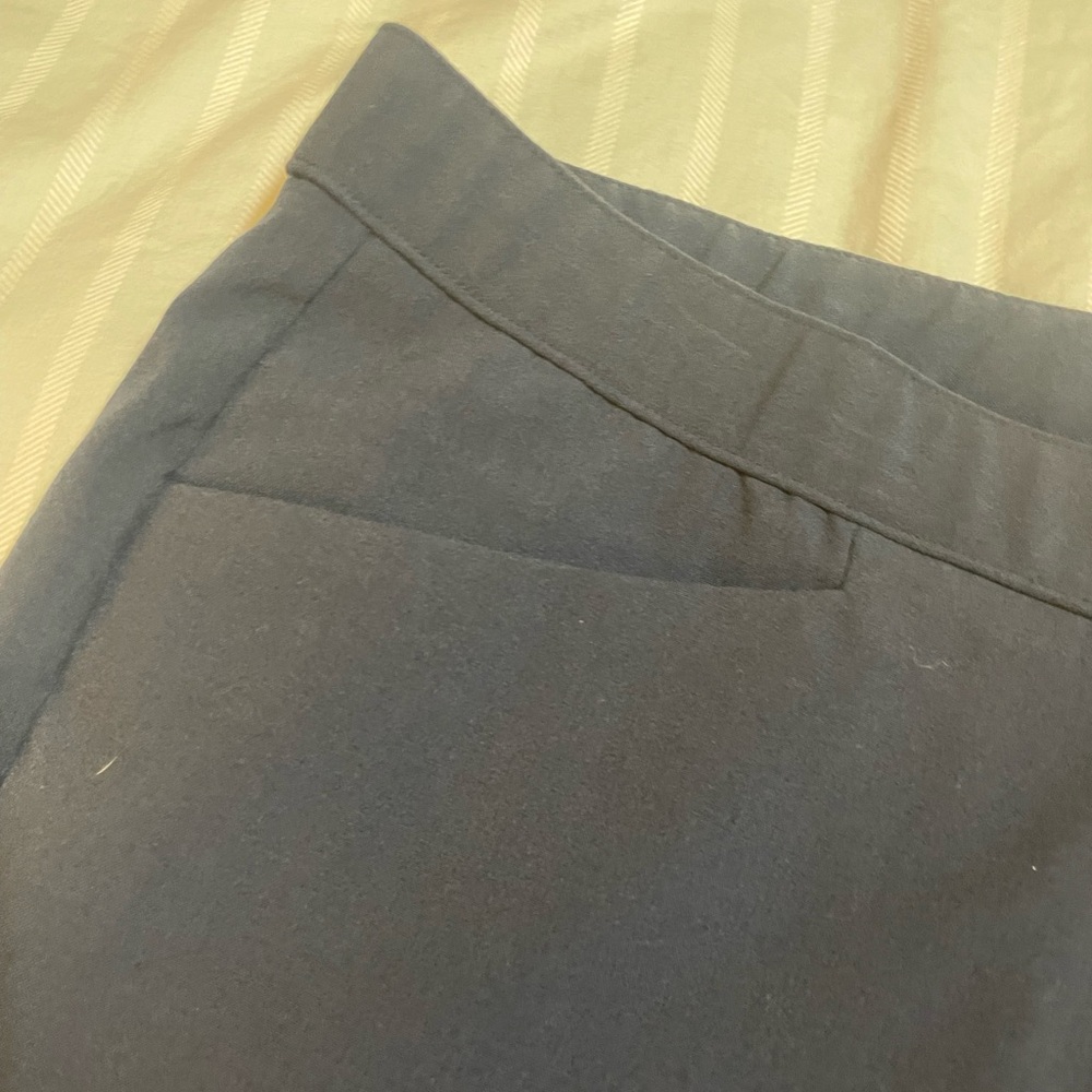 Maggie Barnes Navy Blue Pants 20W